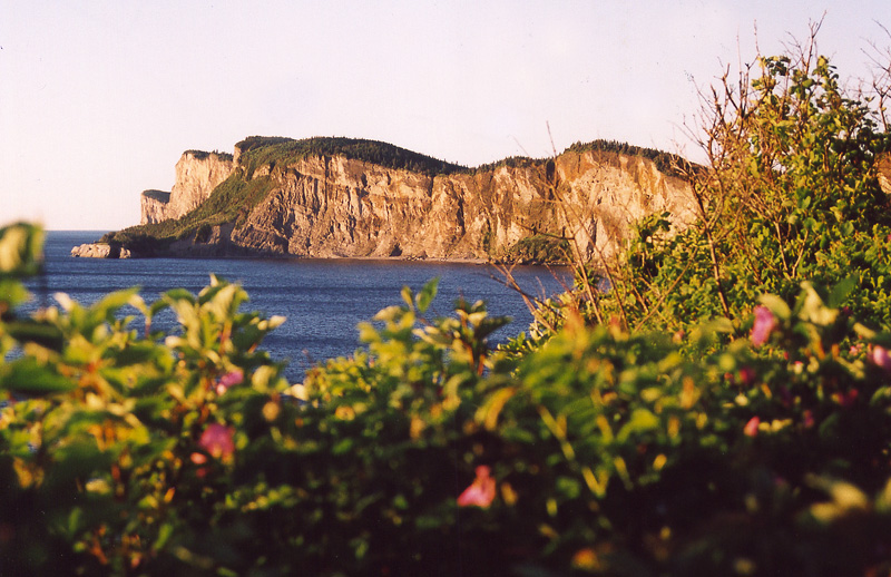Le Parc Forillon en photos par Julien Lebreton