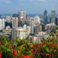 Photos du centre ville de Montreal